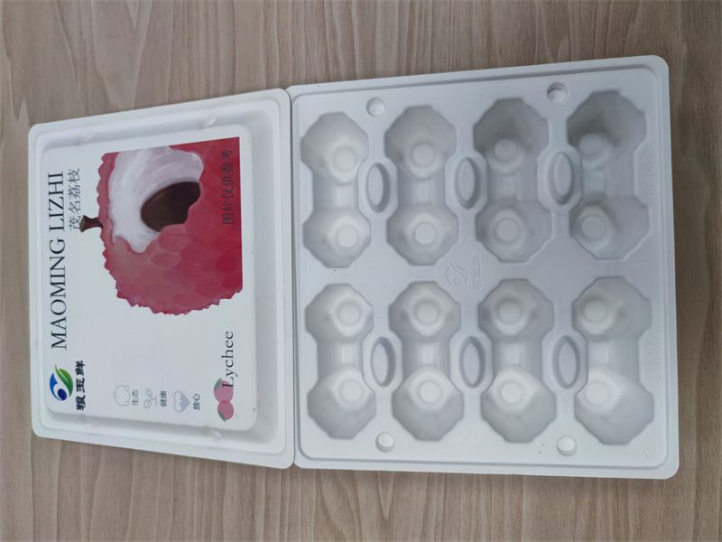 揭阳纸托2